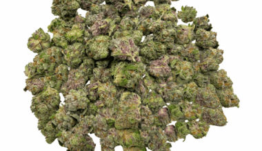 Donkey Budder - Popcorn (1/4 LB - 2 LB)