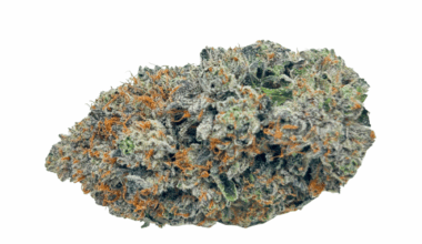 Rockstar Pink - Craft Cannabis