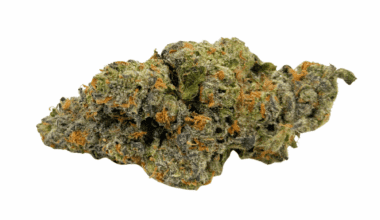 Frumpz (Crop #7) - Craft Cannabis (1/4 LB - 1 LB)