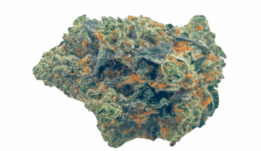 LA Runtz - AAAA (1/4 LB - 2 LB)