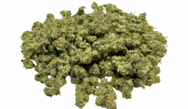 LA Runtz - Popcorn (1/4 LB - 2 LB)