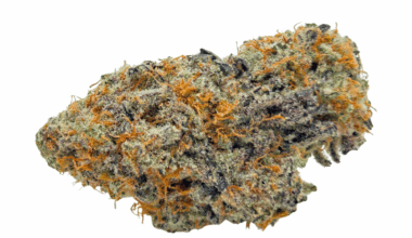 Larry Bird - AAAA (1/4 LB - 2 LB)