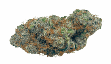 Grape Cookies - AAAA (1/4 LB - 2 LB)