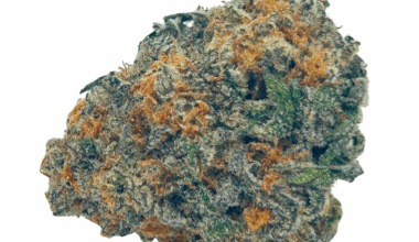 Strawnana - AAA (1/4 LB - 2 LB)