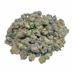 Blue Lobster - Popcorn