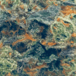 LA Runtz - AAAA (1/4 LB - 2 LB) - Image 2