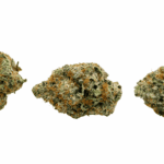 Peanut Butter Rockstar - AAAA - Image 3