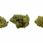 LA Runtz - AAAA (1/4 LB - 2 LB) - Image 3