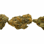 Larry Bird - AAAA - Image 3