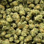 Sour Amnesia - Popcorn - Image 4