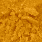 Cereal Milk - Live Resin (Hybrid) - Image 5