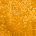 Nebula - Budder (Hybrid) - Image 5