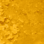 Shishkaberry  - Live Resin (Hybrid) (1/4 LB - 1 LB) - Image 5