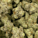 Blue Lobster (Crop #6) - Craft Cannabis (1/4 LB - 1 LB) - Image 5
