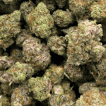 Peanut Butter Rockstar - AAAA - Image 5