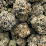 Rockstar Pink - Craft Cannabis (1/4 LB - 1 LB) - Image 5
