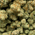 Sour Amnesia - AAAA - Image 5