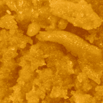 Cereal Milk - Live Resin (Hybrid) (1/4 LB - 1 LB) - Image 2