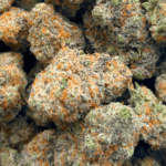 Larry Bird - AAAA (1/4 LB - 2 LB) - Image 5