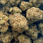 Comatose OG - AAAA - Image 5