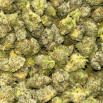 Blue Lobster - Popcorn (1/4 LB - 2 LB) - Image 5