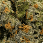 Frumpz (Crop #7) - Craft Cannabis - Image 2