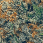 Strawnana - AAA - Image 2