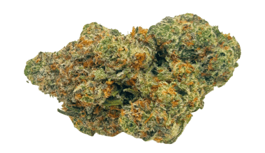 Bubblegum Gelato - AAAA (1/4 LB - 2 LB)