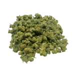 Bubblegum Gelato - Popcorn (1/4 LB - 2 LB)