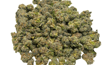 King Tut - Popcorn (1/4 LB - 2 LB)