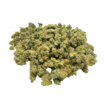 Blue Lobster (Crop #2) - Popcorn (1/4 LB - 2 LB)