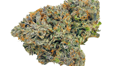 Death Bubba - Craft Cannabis