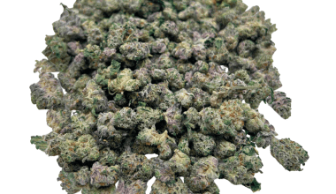 Donkey Budder - Popcorn