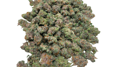 Strawberry MAC - Popcorn (1/4 LB - 2 LB)