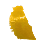 Coconut Cream - Shatter (1/4 LB)