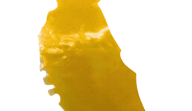 Coconut Cream - Shatter (1/4 LB)