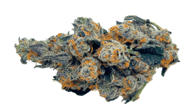 Red Velvet - AAA (1/4 LB - 2 LB)