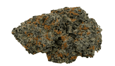 Runtz - AAAA (1/4 LB - 2 LB)