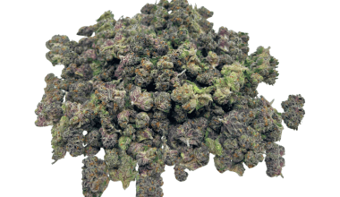 Runtz - Popcorn (1/4 LB - 2 LB)