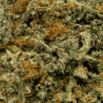 Slurricane - AAAA (1/4 LB - 2 LB) - Image 2