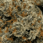 LA Kush Cake - AAAA (1/4 LB - 2 LB) - Image 2