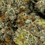 Grape Kush - AAAA (1/4 LB - 2 LB) - Image 2