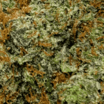 Grape Kush Mints - AAAA - Image 2