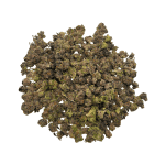 Northern Lights - Popcorn - Image 2