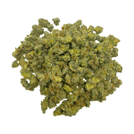 Blue Lobster (Crop #2) - Popcorn - Image 2