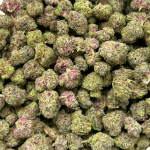 Grape Kush - Popcorn (1/4 LB - 2 LB) - Image 2