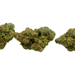 Bubblegum Gelato - AAAA - Image 4