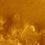 Girl Scout Cookies   - Live Resin (Hybrid) (1/4 LB - 1 LB) - Image 4