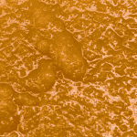 Colombian Gold - Live Resin (Hybrid) - Image 2