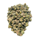 King Tut - Popcorn - Image 3